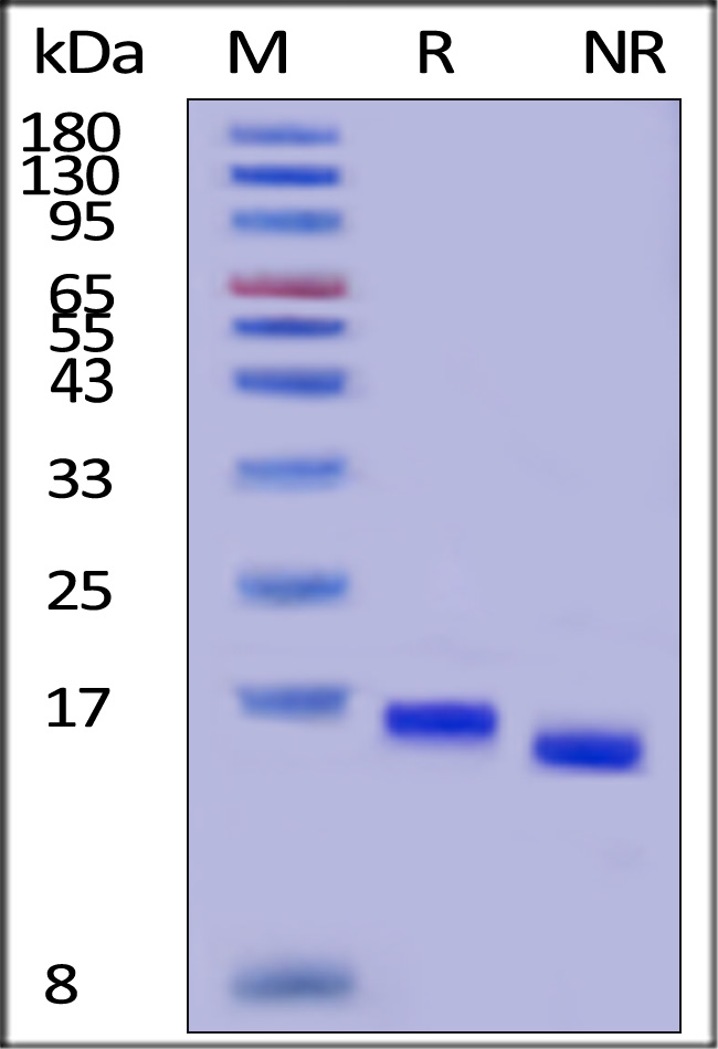 GMP-L21H15-sds