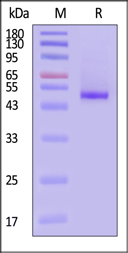 GUD-H82E6-sds