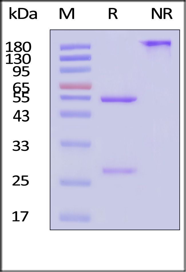 HIS-FM535-sds