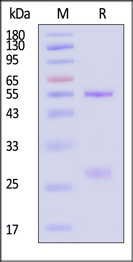 HIS-M535-sds
