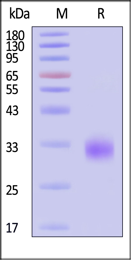 HST-H5245-sds