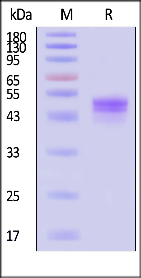 IGE-H82E3-sds