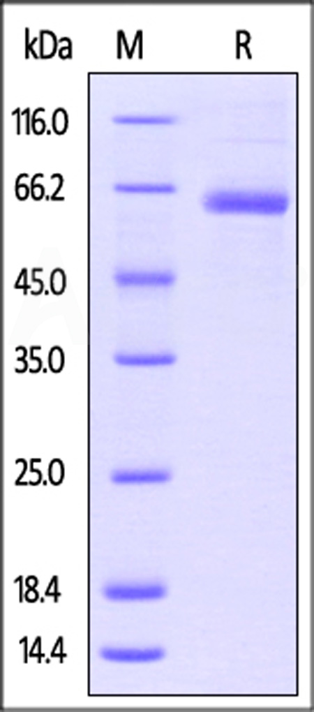 LA3-H522a-sds