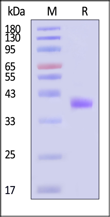 LI4-H82E4-sds