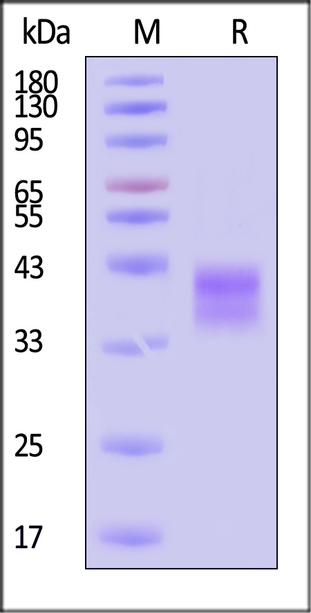 LTR-H82E9-sds