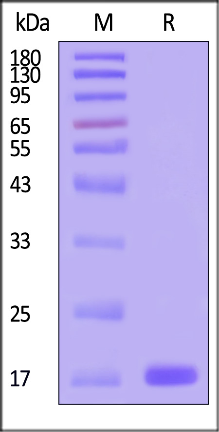 MIE-H5117-sds