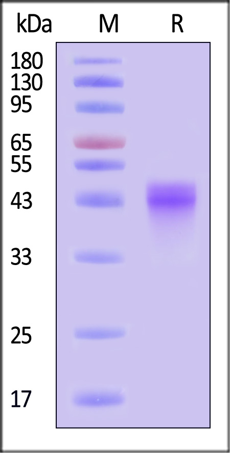 OX0-C82E9-sds