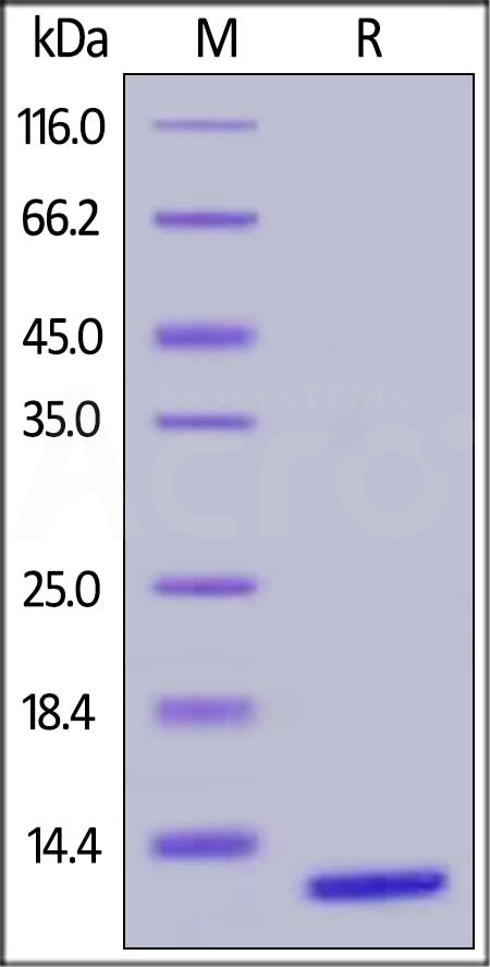 S10-H5127-sds