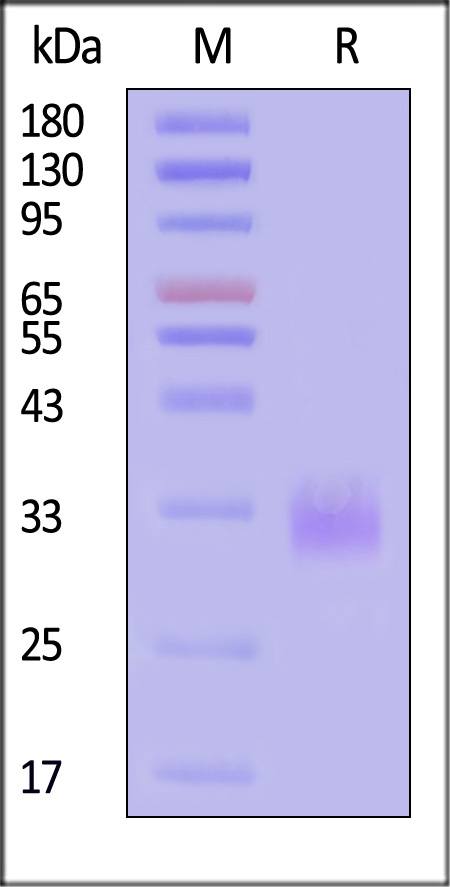 SOT-H8245-sds