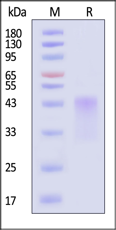 TM3-H5229-sds