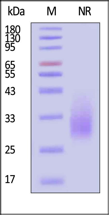 TR2-H52H5-sds