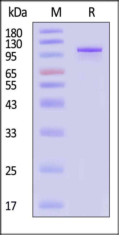 TRN-M525b-sds