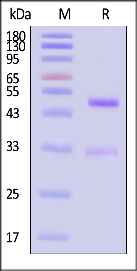 TWK-H5263-sds