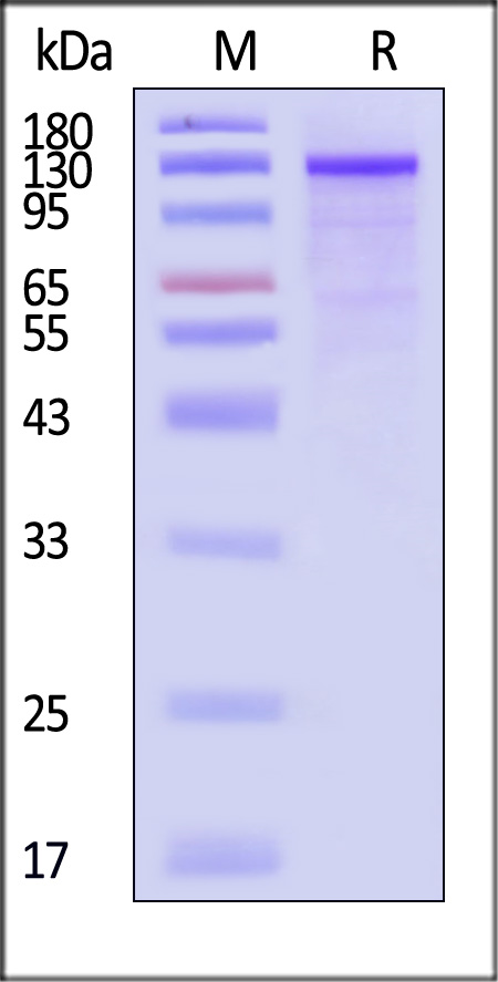 US7-H5543-sds