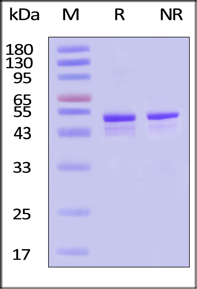 VIN-H5117-sds