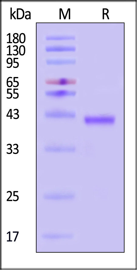 WRN-H5143-sds