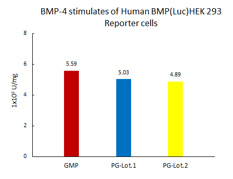  BMP-4 STABILITY