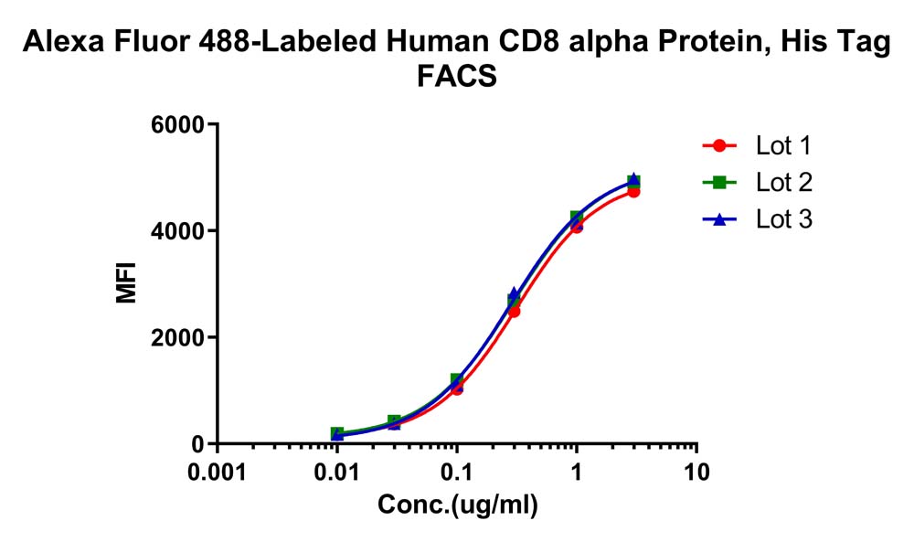  CD8 alpha STABILITY