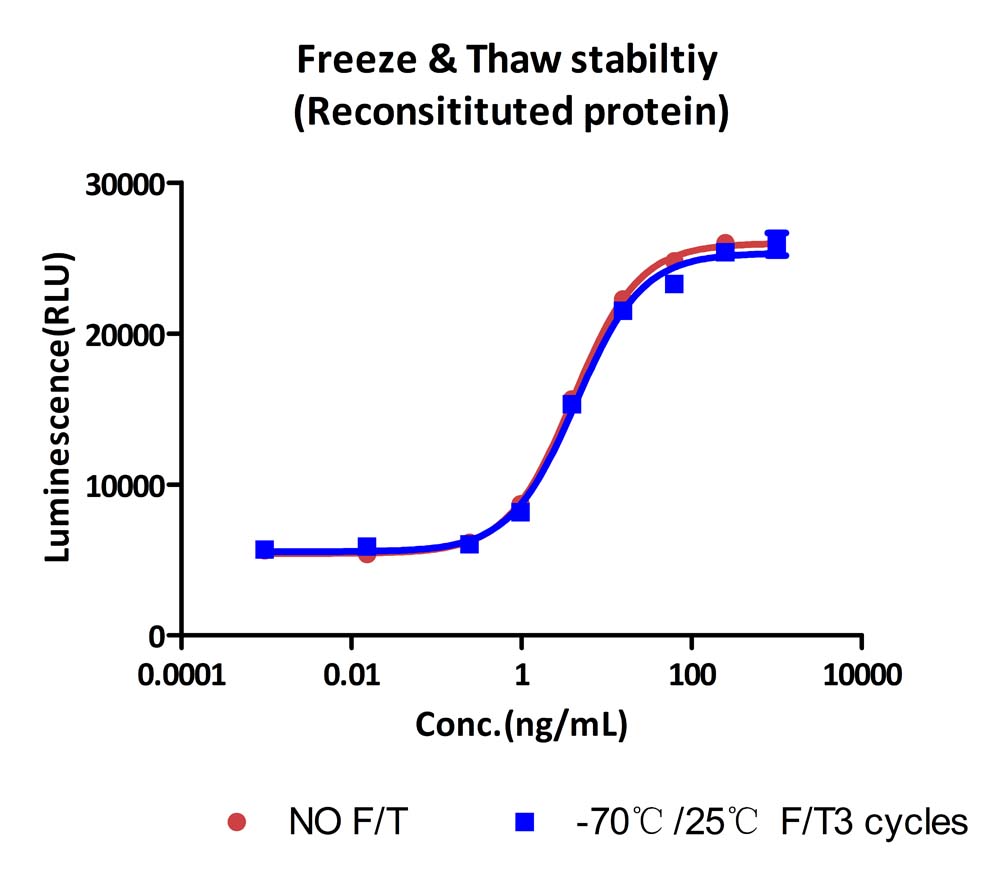  SCF STABILITY