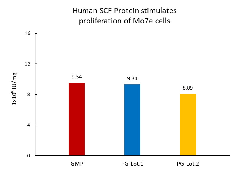  SCF STABILITY
