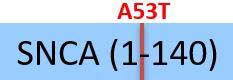 ALN-H5114-structure