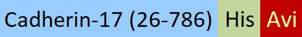 CA7-M82E7-structure