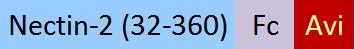 CD2-H82F8-STC1