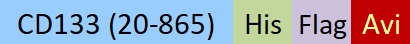 CD3-H82D3-structure