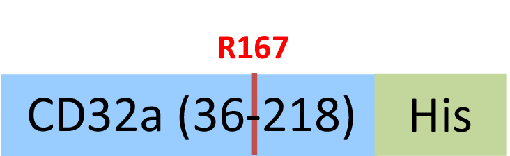 CDA-H5221-structure