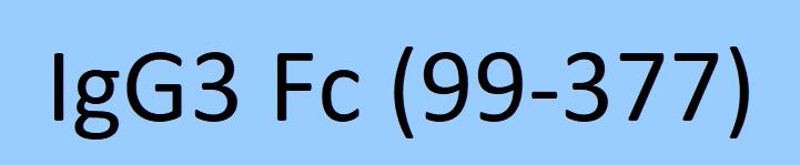 IG3-H5200-structure