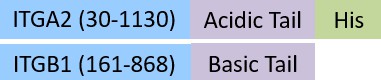 IT1-C52W5-structure