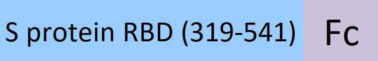 SPD-C5255-structure