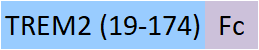 TR2-H5254-structure