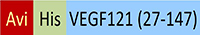 VE1-H82E7-structure