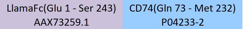 CD74 Structure