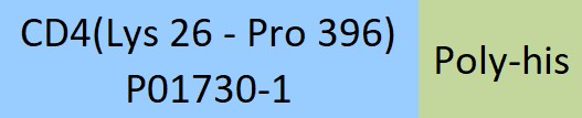 Online(Lys 26 - Pro 396) P01730-1