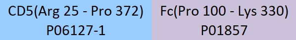 CD5 Structure
