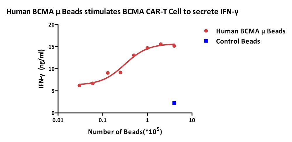  BCMA TYPICAL DATA