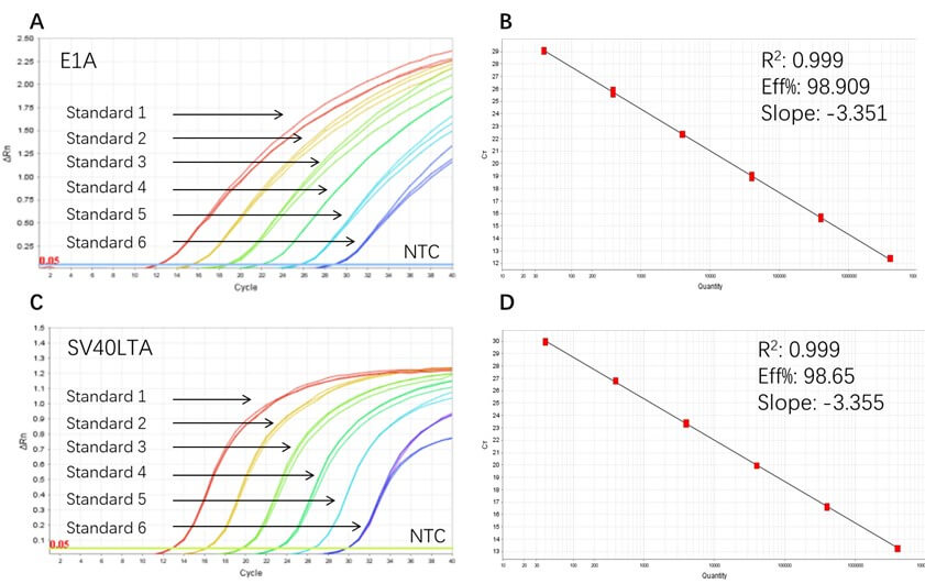  DNA TYPICAL DATA