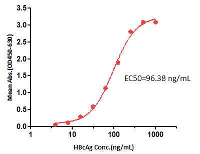  Hepatitis B core antigen/HBcAg (HBV) TYPICAL DATA
