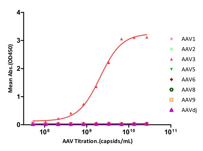  AAV3 SPECIFICITY