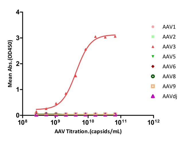  AAV3 SPECIFICITY