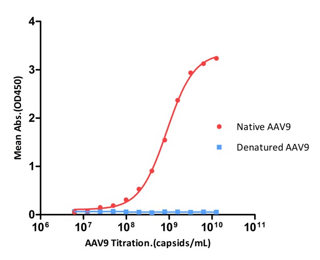  AAV9 SPECIFICITY