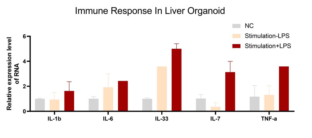  Organoids ORGANOID APPLICATION